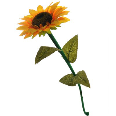 Living Sunflower by SYOUMA