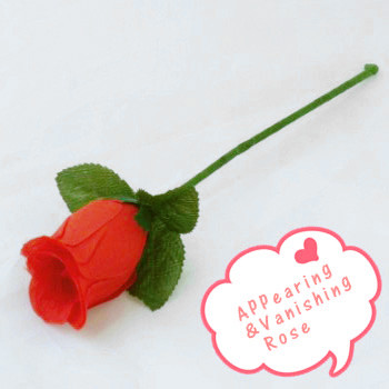 Appearing&Vanishing Rose