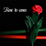 Rose to Canes