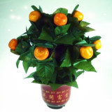 The Orange Tree Illusion (10 Oranges)