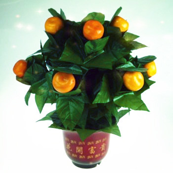 The Orange Tree Illusion (10 Oranges)