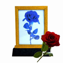 Lightning Rose Frame