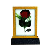 Lightning Rose Frame