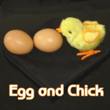 Egg and Chick