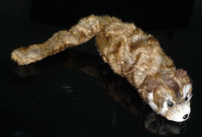 Rocky Raccoon Spring Anima - Magic Trick - China Magic Shop