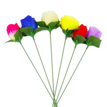 Flaming Torch to Rose - 5 Colors