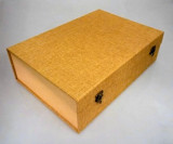 Fish Appear (Two Times)