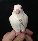 Dove From Scroll Painting