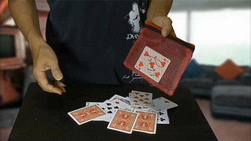 * Card Through Mesh Bag by Higpon