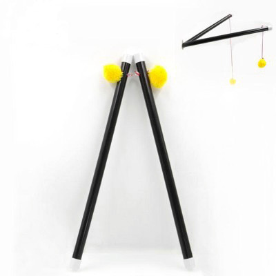 Chinese Sticks (Large)