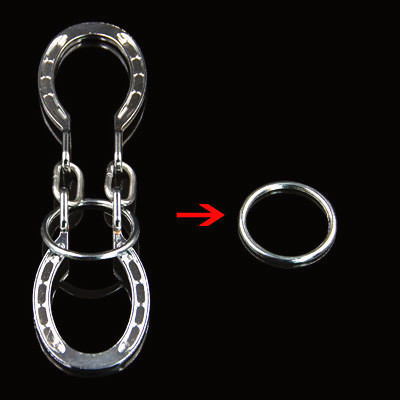 Horseshoe Puzzle - Silver
