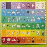 Magician Knows Playing Cards (Spectrum)