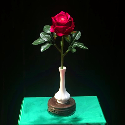 Withered Rose