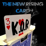 * K.O.R - King of the Rise by Olivier Pont