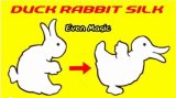 Duck-Rabbit Silk