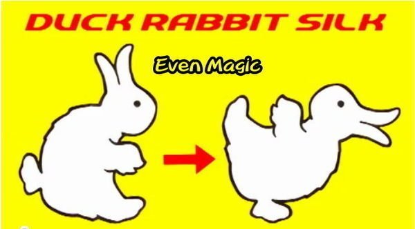 Duck-Rabbit Silk