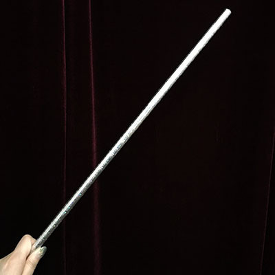 Multifunctional Wand