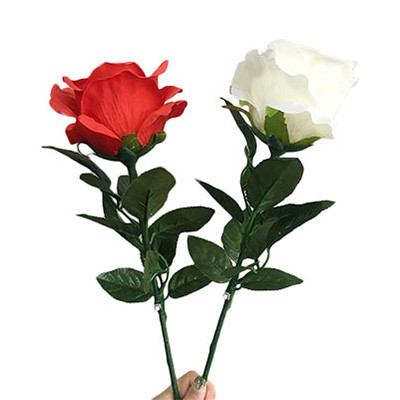 Super Light Rose (Rechargeable, 2 Colors)