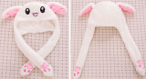 Bunny Ears Hat