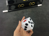 Jumbo Dice Tunnel