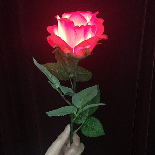 Light Rose - Remote Control