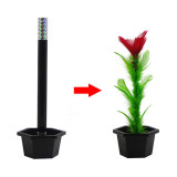 Appearing Flower (Small/Medium)