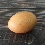 Real Egg (Brown/White)