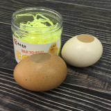 Real Egg (Brown/White)