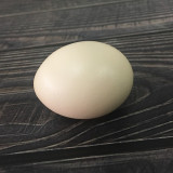 Real Egg (Brown/White)