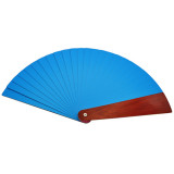 Color Changing Fan (Rainbow)