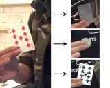 Visual Change Card by J.C Magic