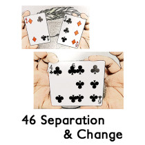 46 Separation & Change