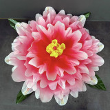 Peony Production - Gradient (3 Colors)