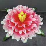 Peony Production - Gradient (3 Colors)