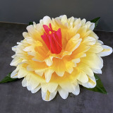 Peony Production - Gradient (3 Colors)