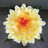 Peony Production - Gradient (3 Colors)