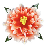 Peony Production - Gradient (3 Colors)