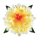 Peony Production - Gradient (3 Colors)