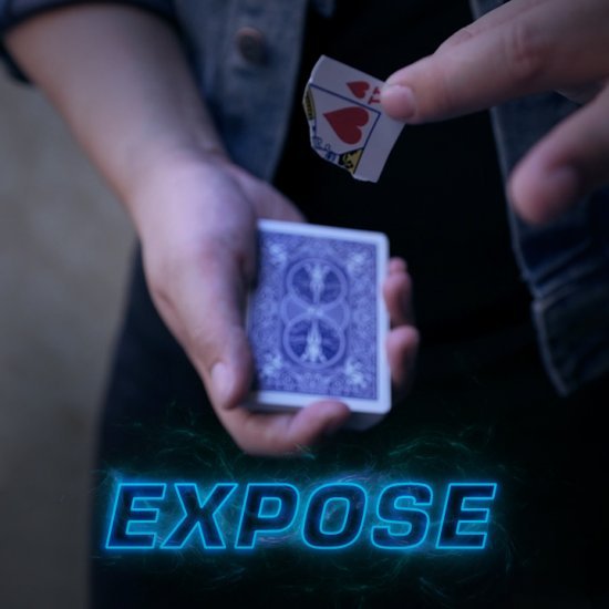 * Expose by SansMinds Creative Labs