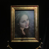 Mysterious Portrait by J.C Magic