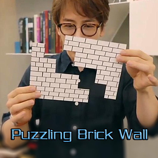 Puzzling Brick Wall