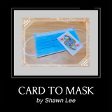 Card to Mask by Shawn Lee​