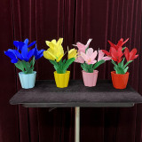 * Appearing Flowers in Four Vases