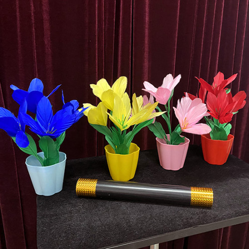 * Appearing Flowers in Four Vases