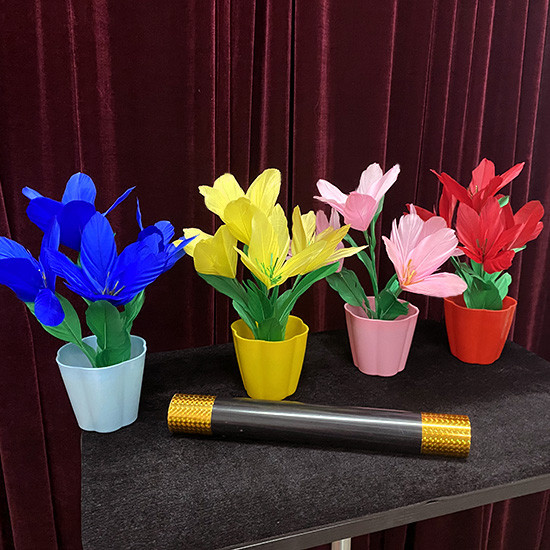 * Appearing Flowers in Four Vases