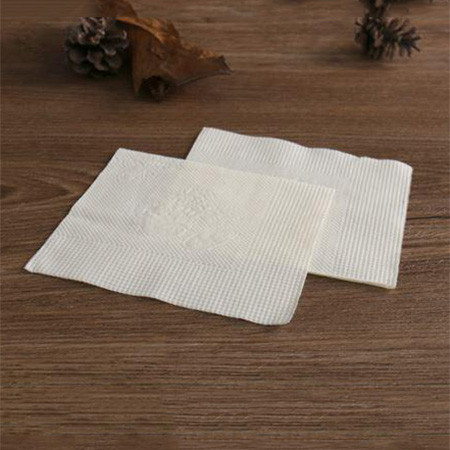 Flash Napkin (Pack of 4)