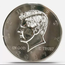 Super Jumbo Half Dollar (25cm, Plastics)