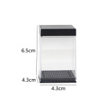 Coin Appear in Crystal Box