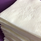 Flash Napkin (Pack of 4)