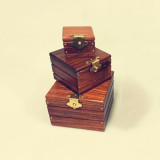 * Super Locked Boxes - Professional (ROSEWOOD EDITION)